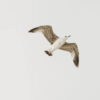 blog1 img 3