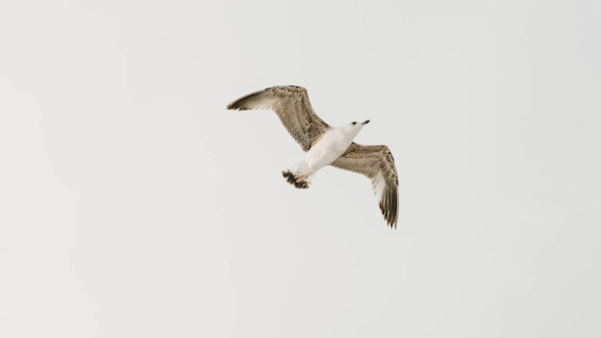 blog1 img 3