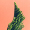 post img 6